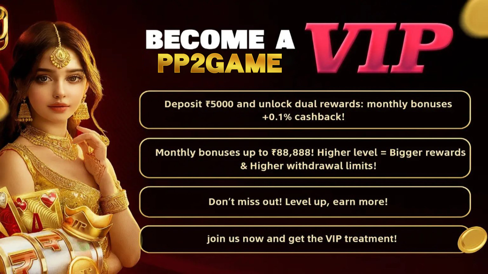 PP2Game VIP level information